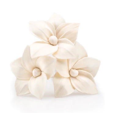 Cream-colored floral hair clips on a white background