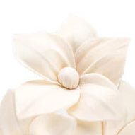 Cream-colored floral hair clips on a white background