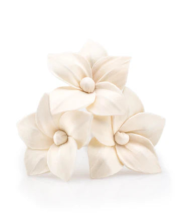 Cream-colored floral hair clips on a white background