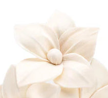 Cream-colored floral hair clips on a white background