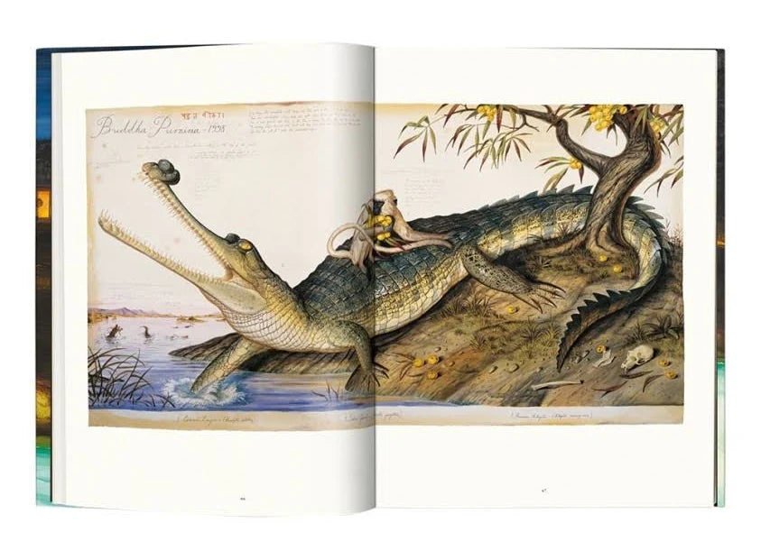 Walton Ford's expansive watercolor creations featuring animals form a distinctive anthropomorphic realm filled with crafty jokes and hidden meaning. This publication represents the most extensive overview of Ford's body of work thus far, showcasing 40 fresh pieces, an extra 120+ pages, and a new essay penned by the artist.