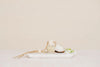 White Lotus