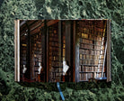 Bibliophiles, rejoice! In this rapturous photographic journey, Massimo Listri travels to some of the oldest and finest libraries around the world to celebrate their architectural and historical wonder. From medieval to 19th-century institutions, private to monastic collections, this is a cultural-historical pilgrimage to the heart of our halls of learning and the stories they tell.