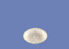 merengua