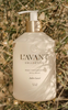 Ambre Santal
