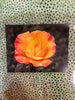 Rio Samba Rose 2019.807