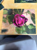 Heirloom Rose 2025.307